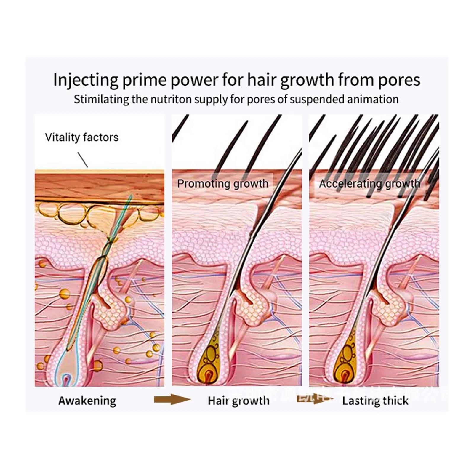 Hair Growth Essential Oil Hair Care to Repair Hair Frizz and Help Growth 20Ml Hair Growth Serum